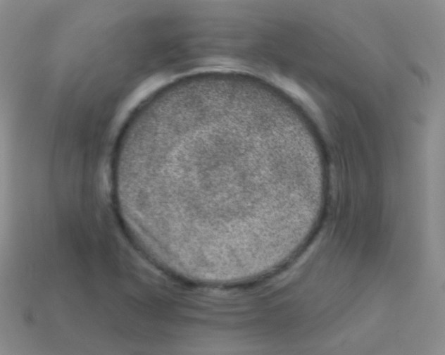 X0000113631318200910162007