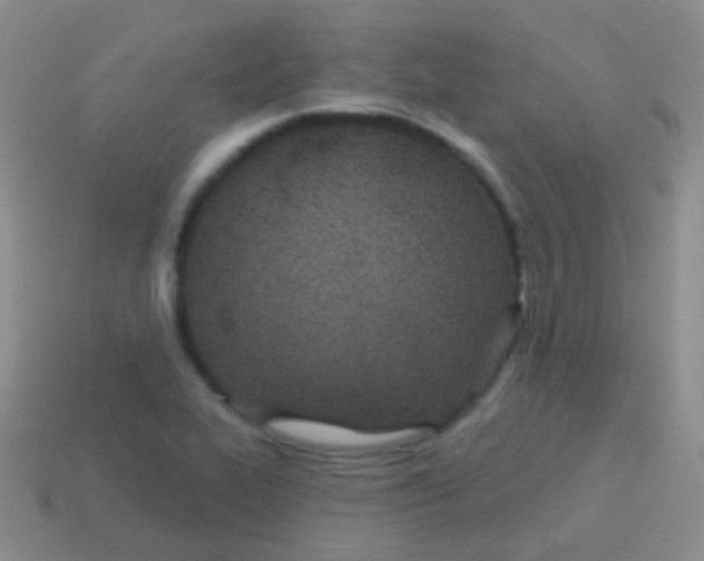 X0000113631319200910162007