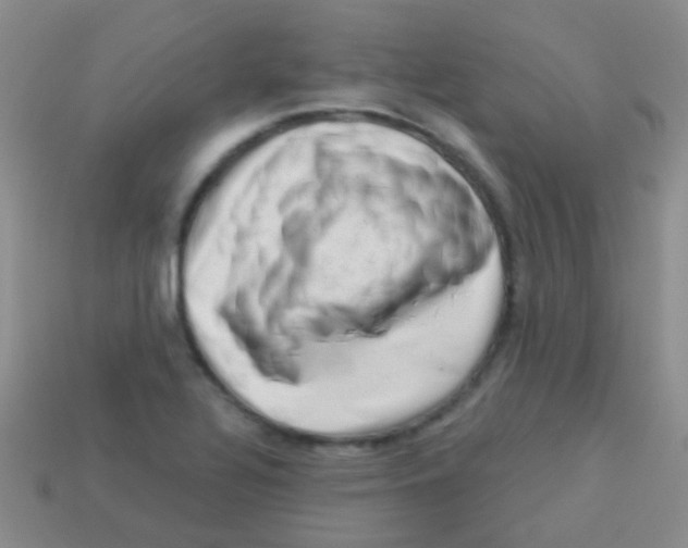 X0000113631320200910162007