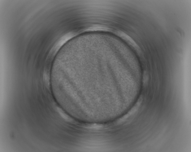 X0000113631321200910162007