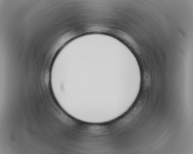 X0000113631322200910162007