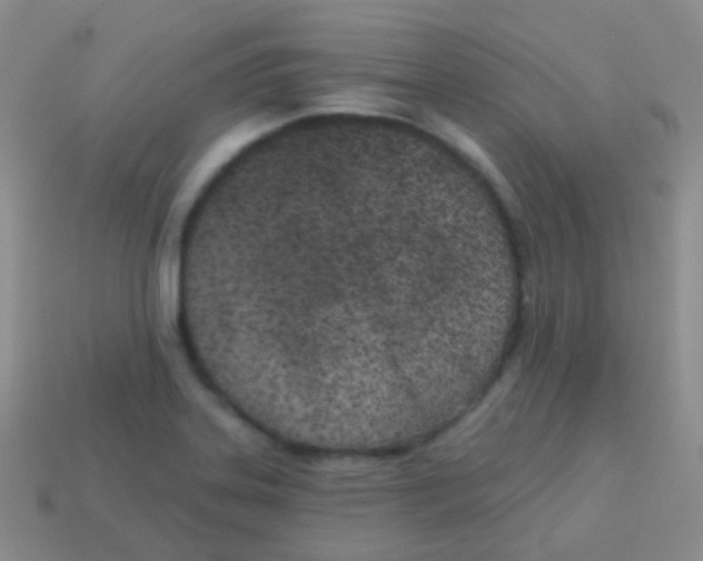 X0000113631323200910162007