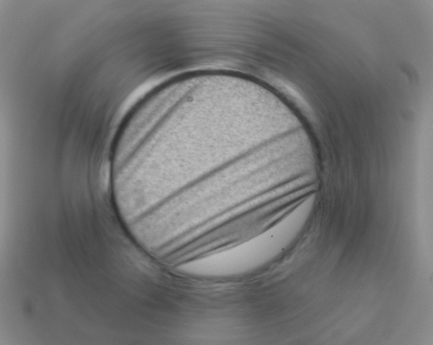 X0000113631324200910162007