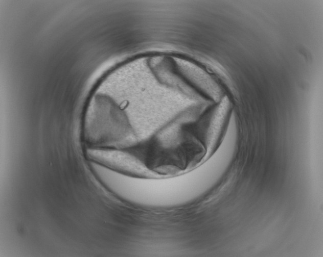 X0000113631326200910162007