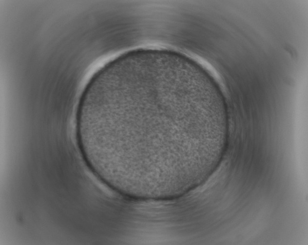 X0000113631327200910162007