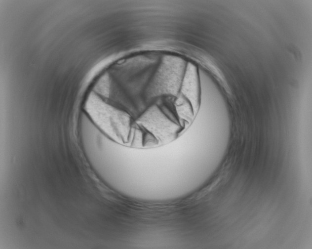 X0000113631328200910162007