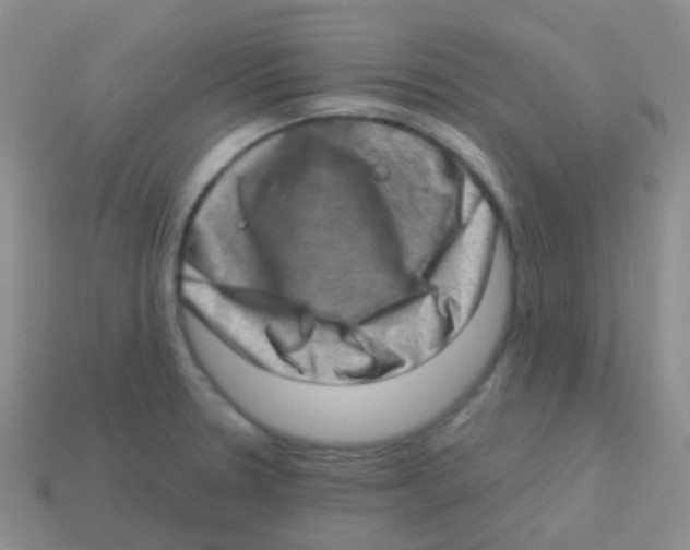 X0000113631330200910162007