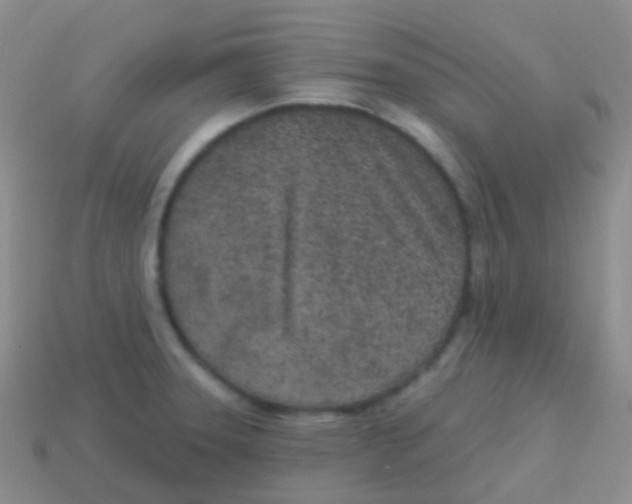 X0000113631331200910162007