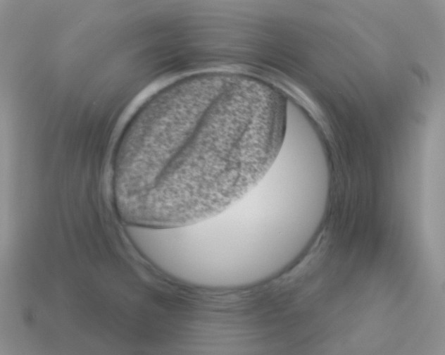 X0000113631332200910162007