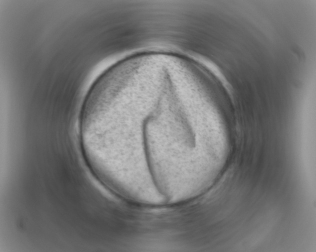 X0000113631335200910162007