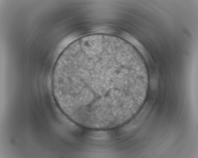 X0000113631338200910162007