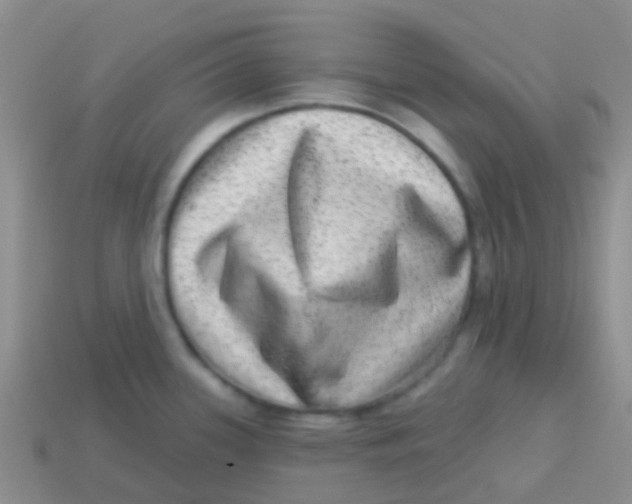 X0000113631339200910162007