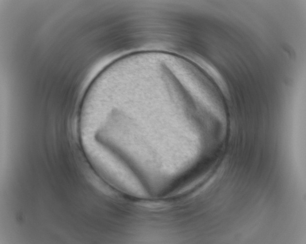 X0000113631340200910162007