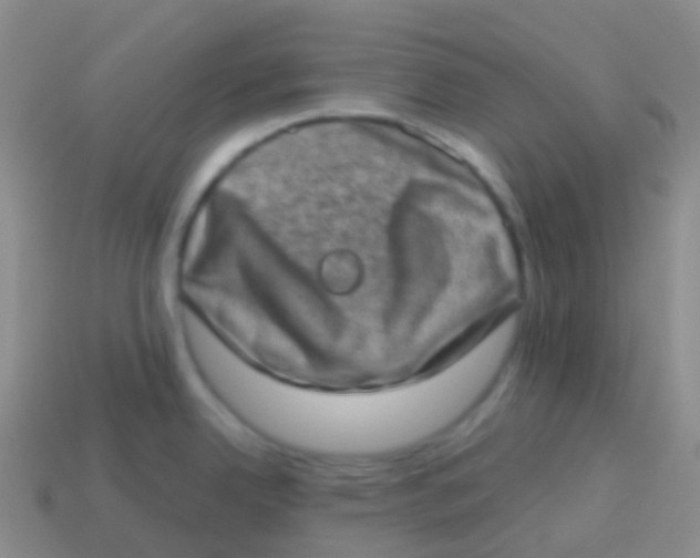 X0000113631342200910162007