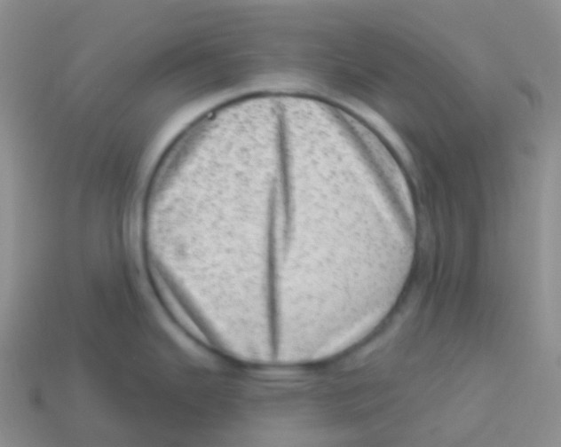 X0000113631343200910162007