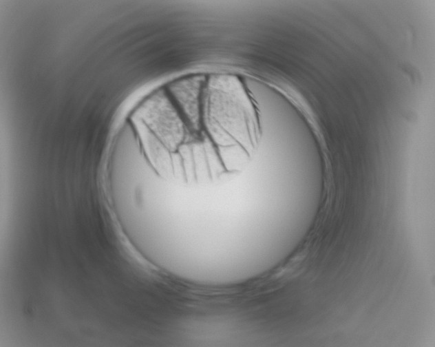 X0000113631344200910162007