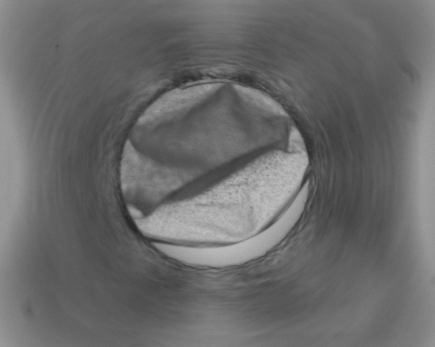 X0000113631345200910162006