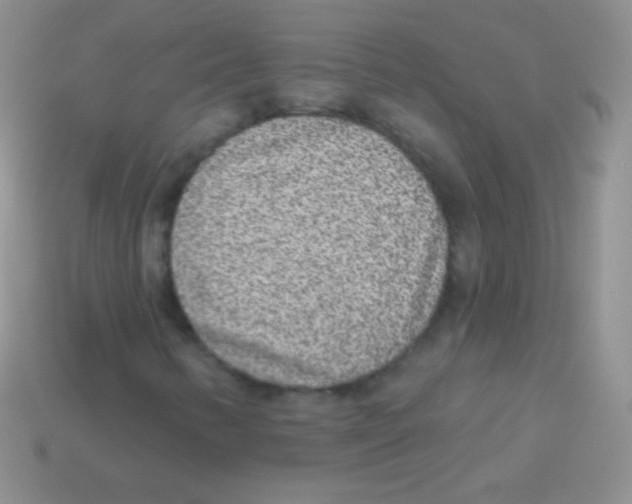 X0000113631346200910162006