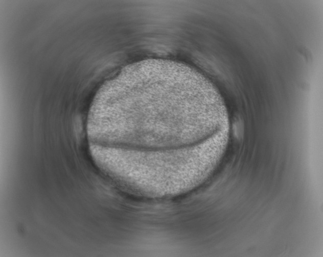 X0000113631347200910162006