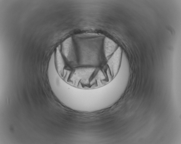 X0000113631348200910162006