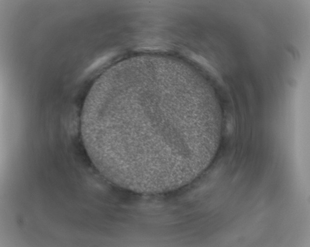 X0000113631350200910162006