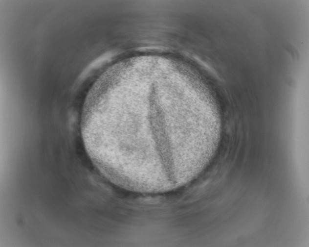 X0000113631351200910162006