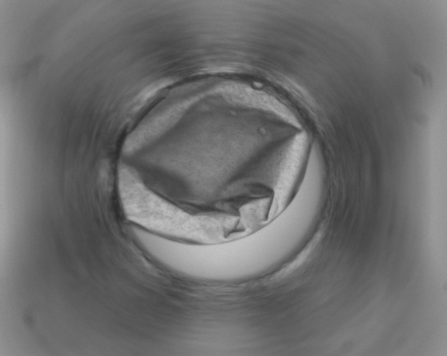 X0000113631353200910162006