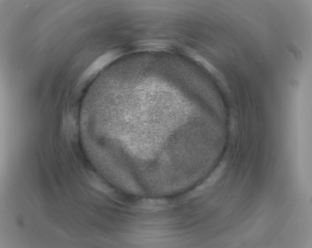 X0000113631354200910162006