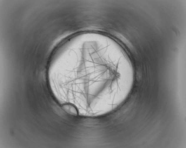 X0000113631356200910162006