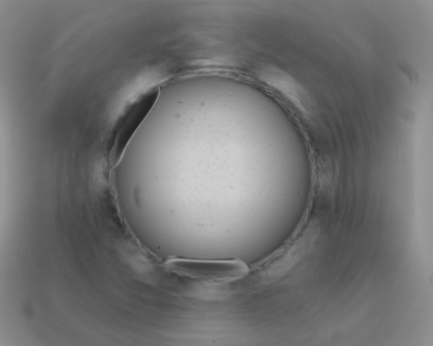 X0000113631357200910162006