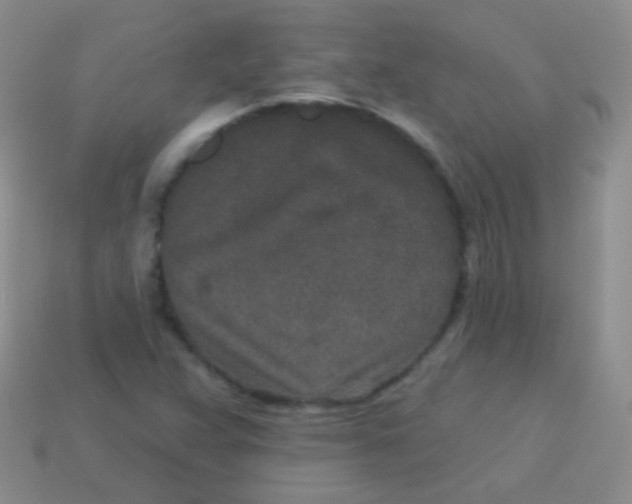 X0000113631359200910162006