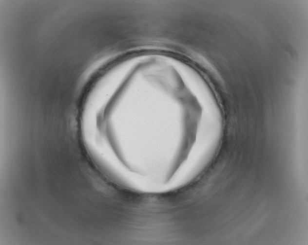 X0000113631360200910162006