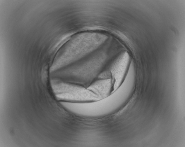 X0000113631361200910162006