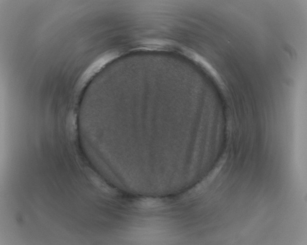 X0000113631362200910162006