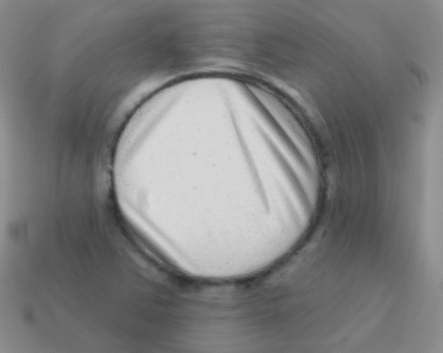 X0000113631363200910162006