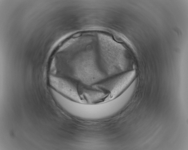 X0000113631364200910162006