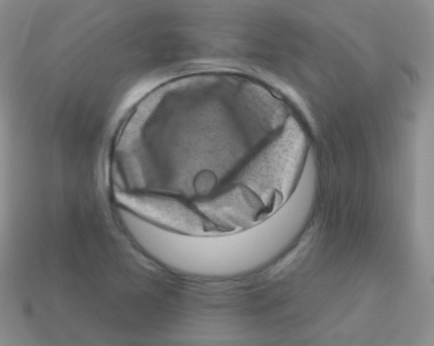 X0000113631365200910162006