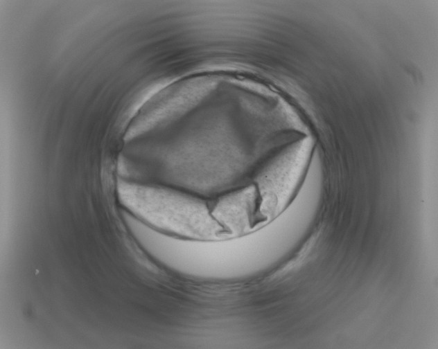 X0000113631369200910162006