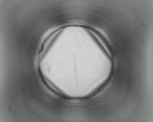 X0000113631371200910162006