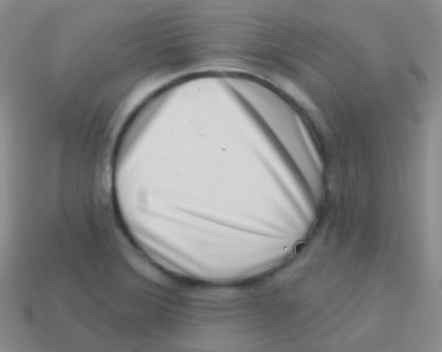 X0000113631372200910162006