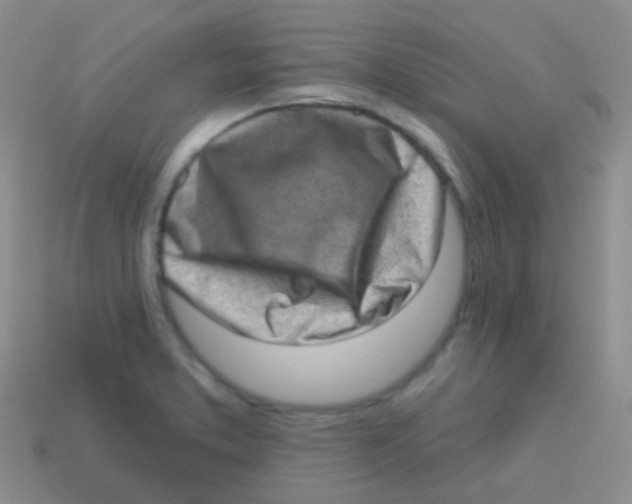 X0000113631373200910162006