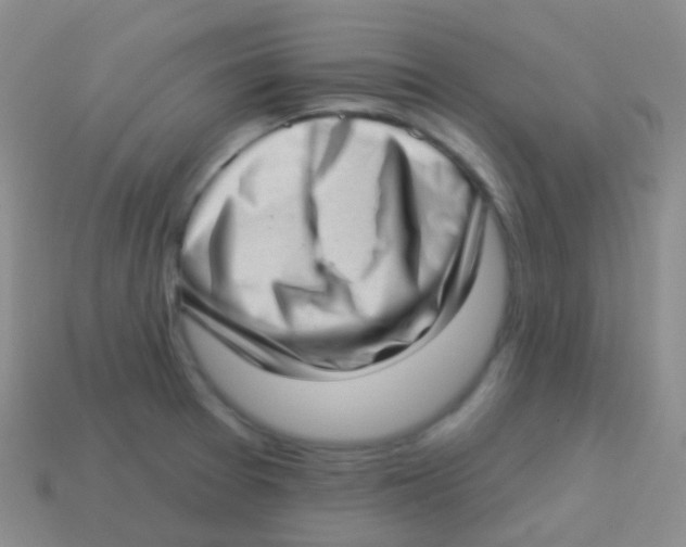 X0000113631377200910162006