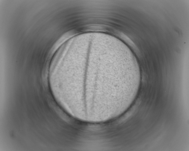 X0000113631378200910162006