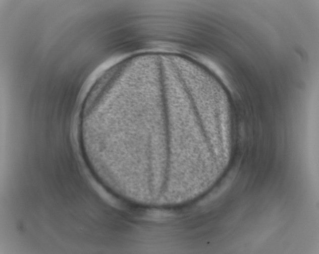 X0000113631379200910162006