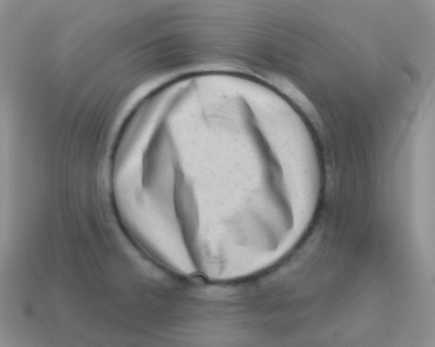 X0000113631380200910162006