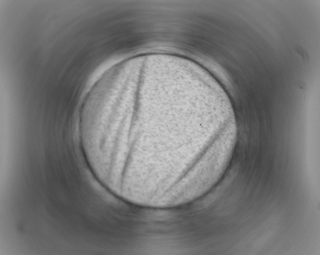 X0000113631382200910162006