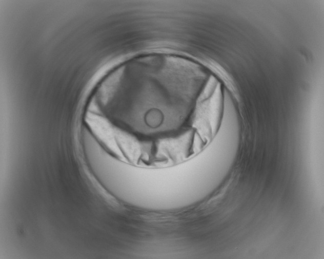 X0000113631384200910162006