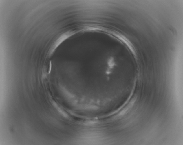 X0000113631385200910162006