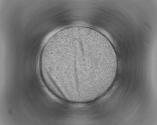 X0000113631387200910162006