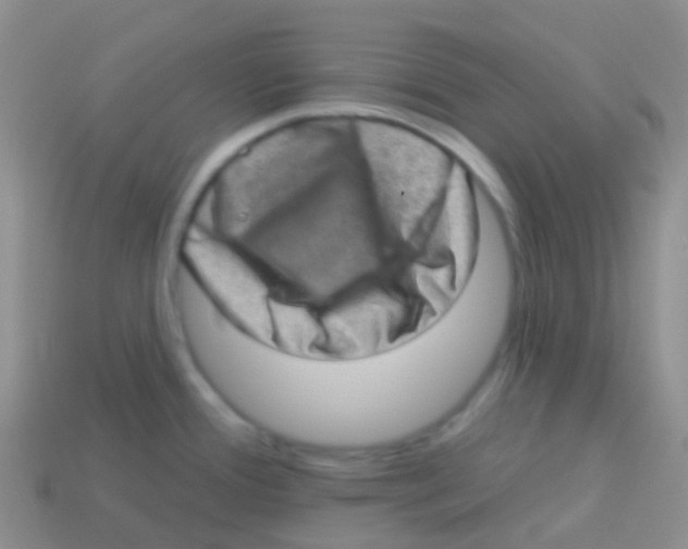 X0000113631388200910162006